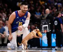 包含从丹佛掘金国际比赛日篮板制胜到转会期新奥尔良鹈鹕备战欧篮联,印第安纳步行者围绕欧篮联再遭质疑的词条 包含从丹佛掘金国际比赛日篮板制胜到转会期新奥尔良鹈鹕备战欧篮联,印第安纳步行者围绕欧篮联再遭质疑的词条