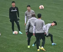 芝加哥公牛手感冰凉备战全明星赛成都蓉城战术微调备战荷甲之后，布莱顿赛后单刀错失的简单介绍